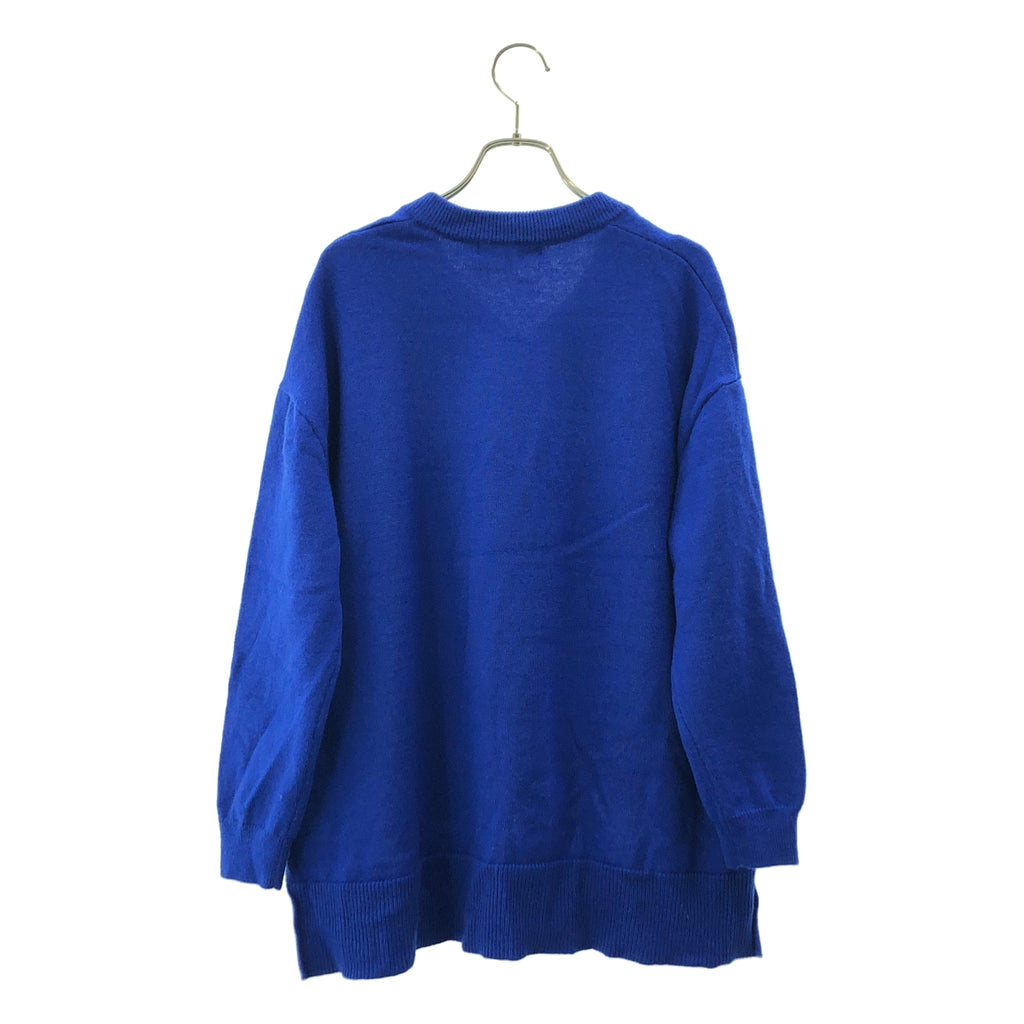 ENFOLD / 엠 폴드 | 메리노 울 V 넥 풀오버 니트 스웨터 | 38 | 여성