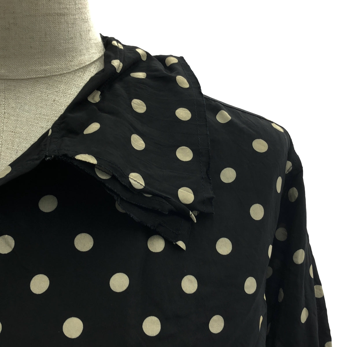 JUNYA WATANABE COMME des GARCONS / ジュンヤワタナベ | 2006SS | キュプラ ドット レイヤードカラー シャツ ブラウス | S | レディース
