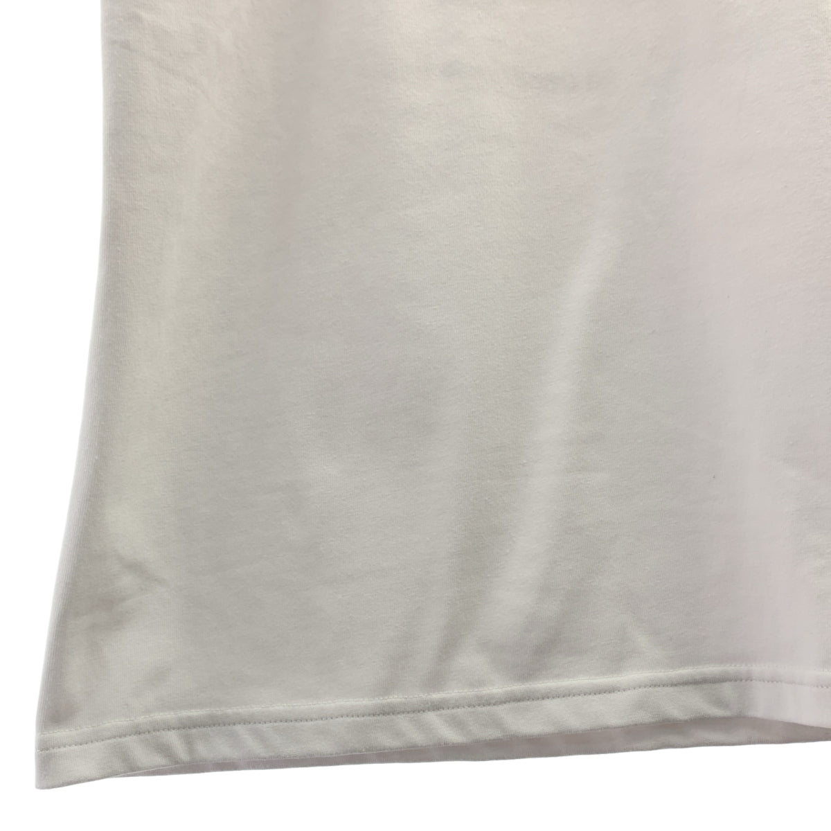 [狀況極佳] NIKE ACG | 2024 秋冬 | NRG DF OC Dog SLE 短袖 T 卹 Dri-FIT 印花 T 卹 | L 碼 | 白色 | 男款