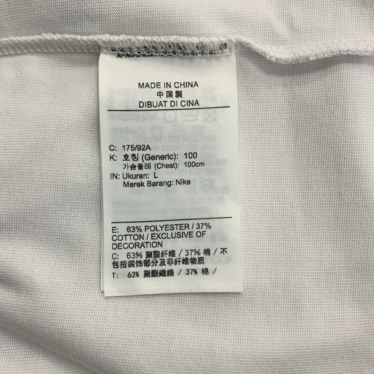 [狀況極佳] NIKE ACG | 2024 秋冬 | NRG DF OC Dog SLE 短袖 T 卹 Dri-FIT 印花 T 卹 | L 碼 | 白色 | 男款