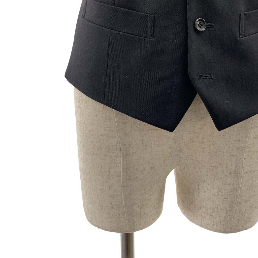 COMME des GARCONS HOMME DEUX / コムデギャルソンオムドゥ | 2019SS | バックダブルアジャスター ジレ ベスト / 総裏地 | S | メンズ