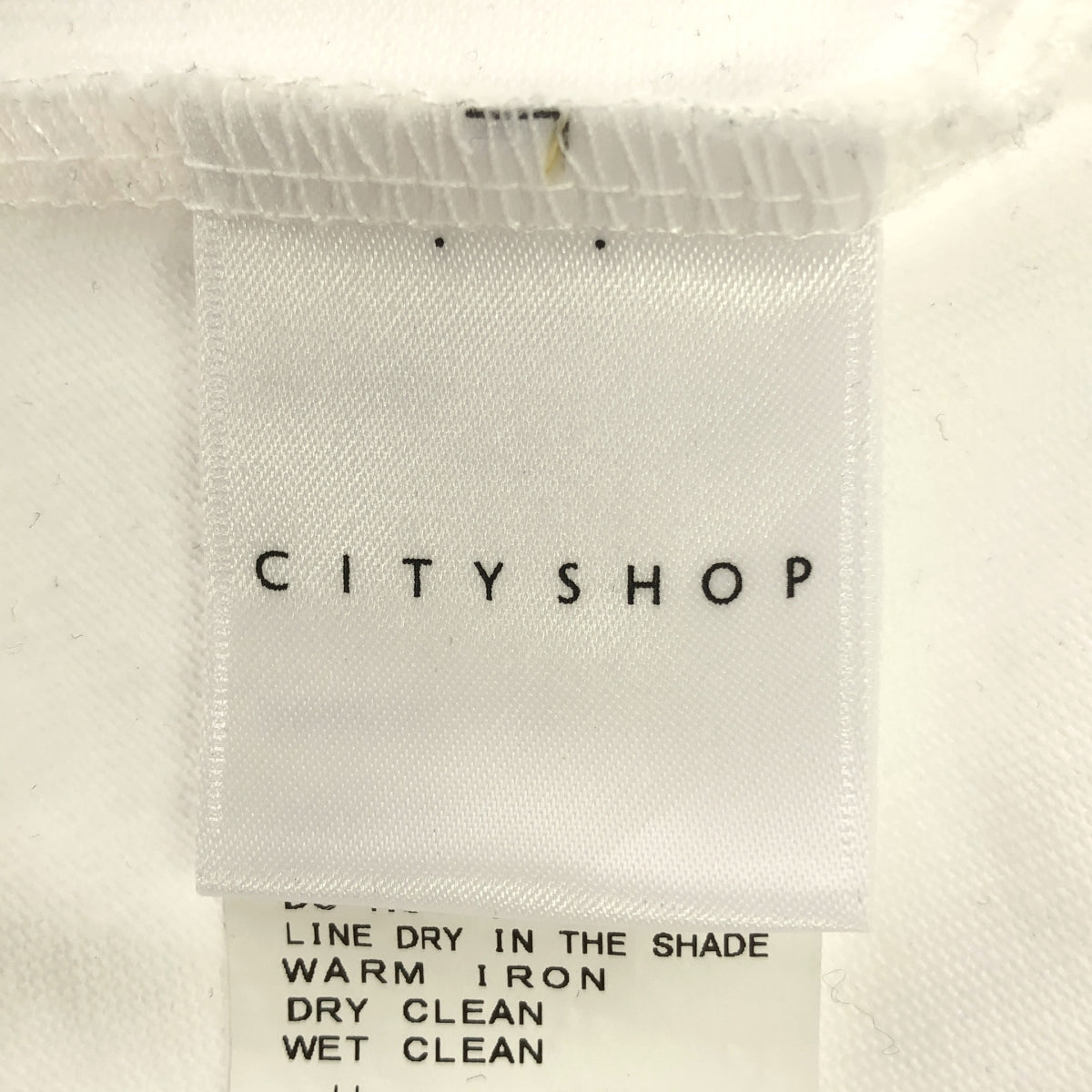 CITYSHOP / シティショップ | 2024SS | THE MOOD BIG LONG Tシャツ | F | ホワイト | レディース