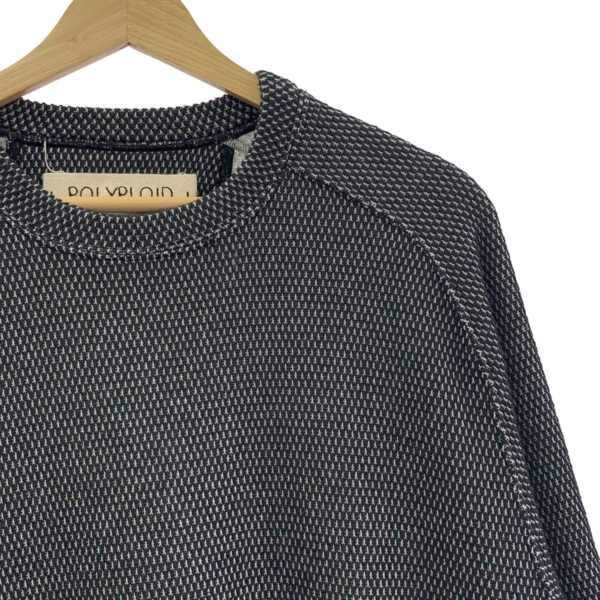 POLYPLOID / 폴리프로이드 | RAGLAN CREW NECK B 라글란 크루넥 컷소우 | 3 |