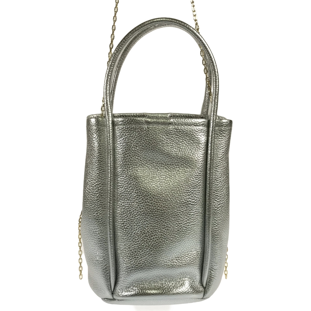 GALLARDAGALANTE / Gallarda Galante | 2.718 2Way Chain Mini Bag |