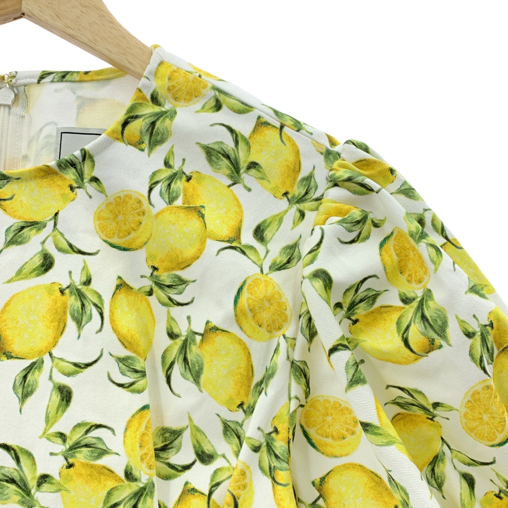 SEVEN TEN 由 MIHO KAWAHITO | 檸檬印花襯衫 | S尺寸 |