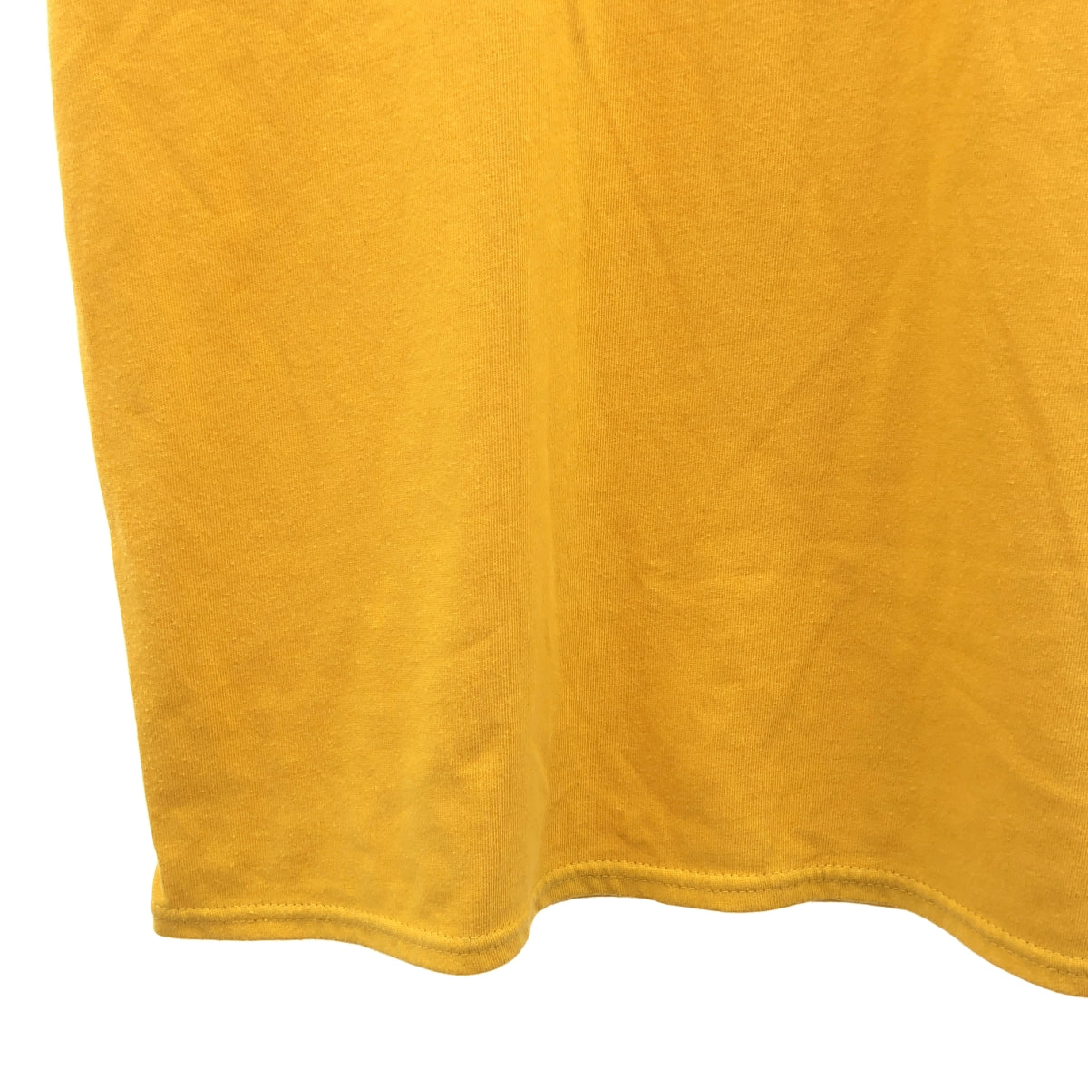 THE NORTH FACE PURPLE LABEL / ザノースフェイスパープルレーベル | H/S Graphic Tee 半袖 グラフィック プリント Tシャツ | M |