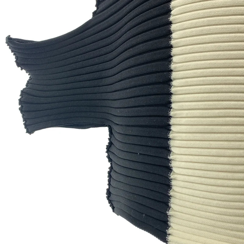 ISSEY MIYAKE / イッセイミヤケ | 2023AW | 変形 リブ プリーツ ニット プルオーバー | 2 | レディース