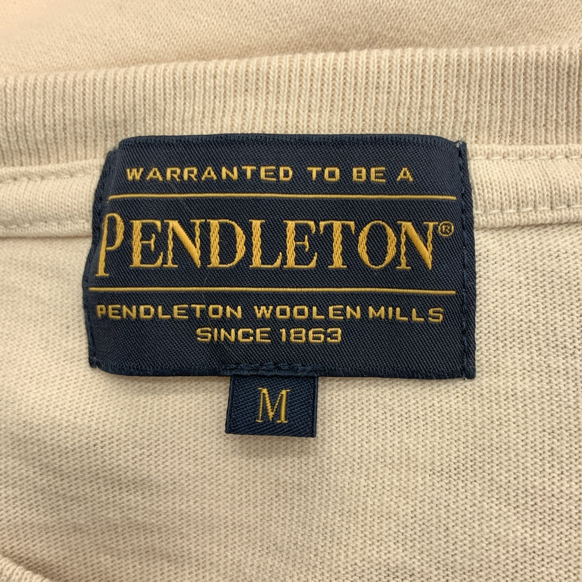 PENDLETON / 펜들턴 | Unisex Back Print Long Tee 컷소우 / 3475-3004 | M | 남성