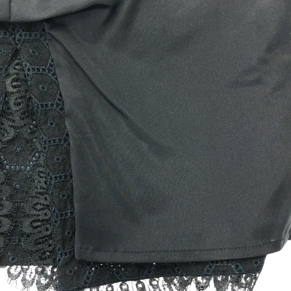 Blumarine / 불마린 | 컷 워크 레이스 백 Zip 스커트 / 총 안감 | 40 | 블랙 | 여성