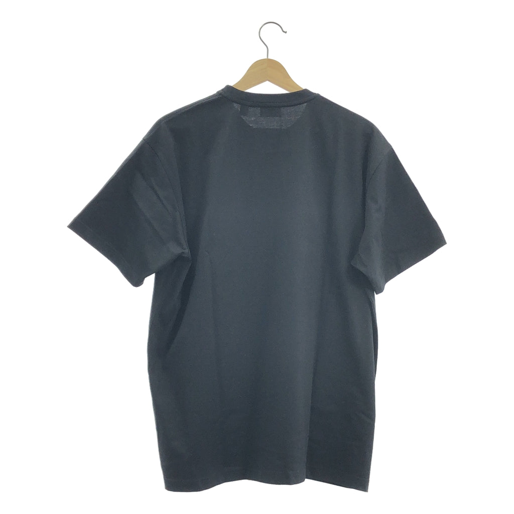【新品】  BURBERRY LONDON ENGLAND / バーバリーロンドンイングランド | 2022SS | UNIVERSAL PASSPORT クルーネック Tシャツ | S | ブラック / ホワイト | メンズ