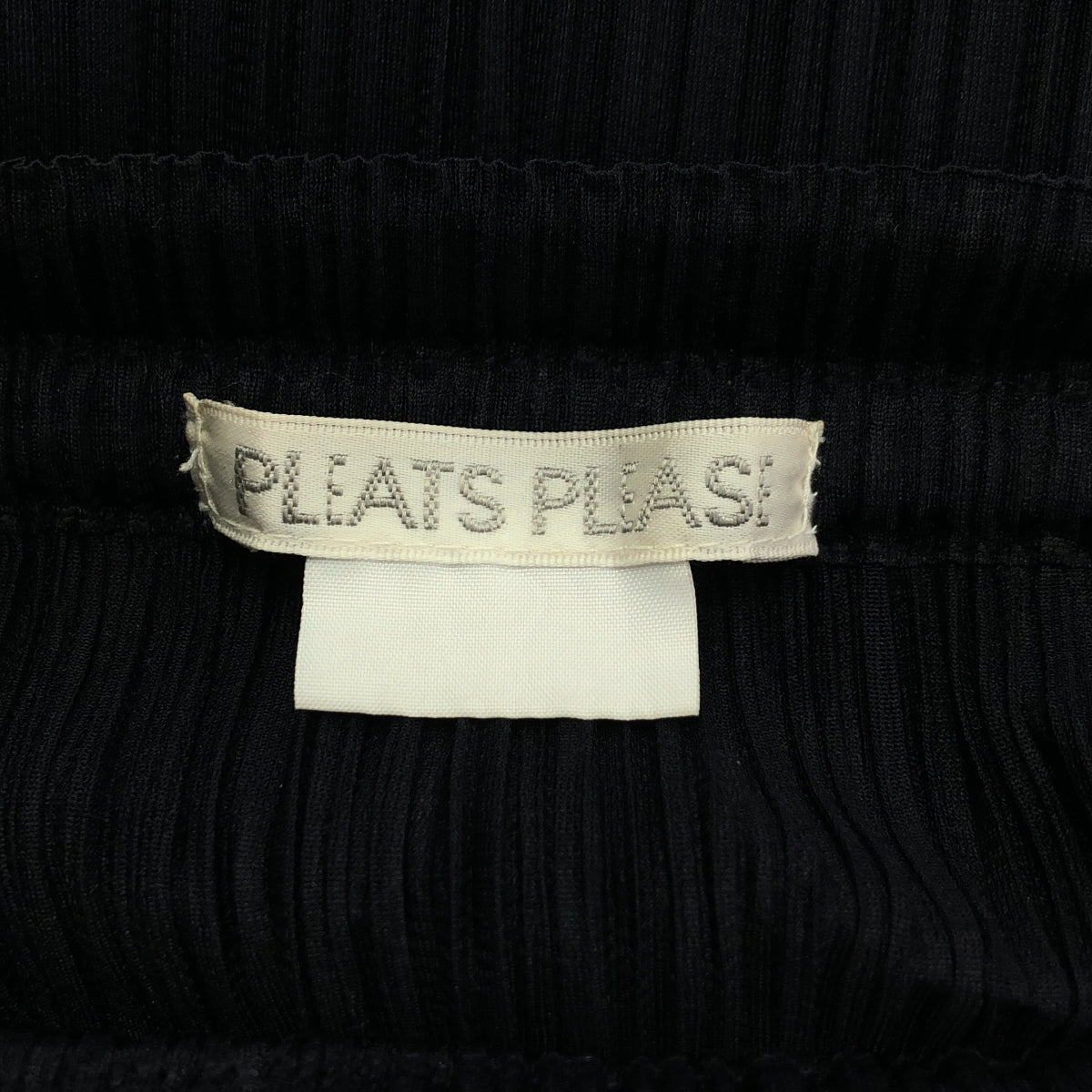 PLEATS PLEASE ISSEY MIYAKE / 플리츠 프리즈 이세이 미야케 | 플리츠 이지 롱 스커트 | 1 |