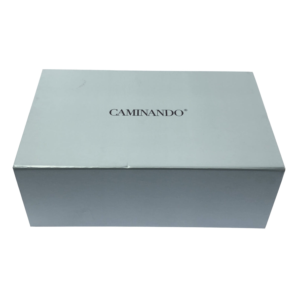 【美品】  Deuxieme Classe / ドゥーズィエムクラス | 2025SS | 【 CAMINANDO / カミナンド 】TONGS SANDAL / レザー トグル サンダル | 7 | ナチュラル系 | レディース
