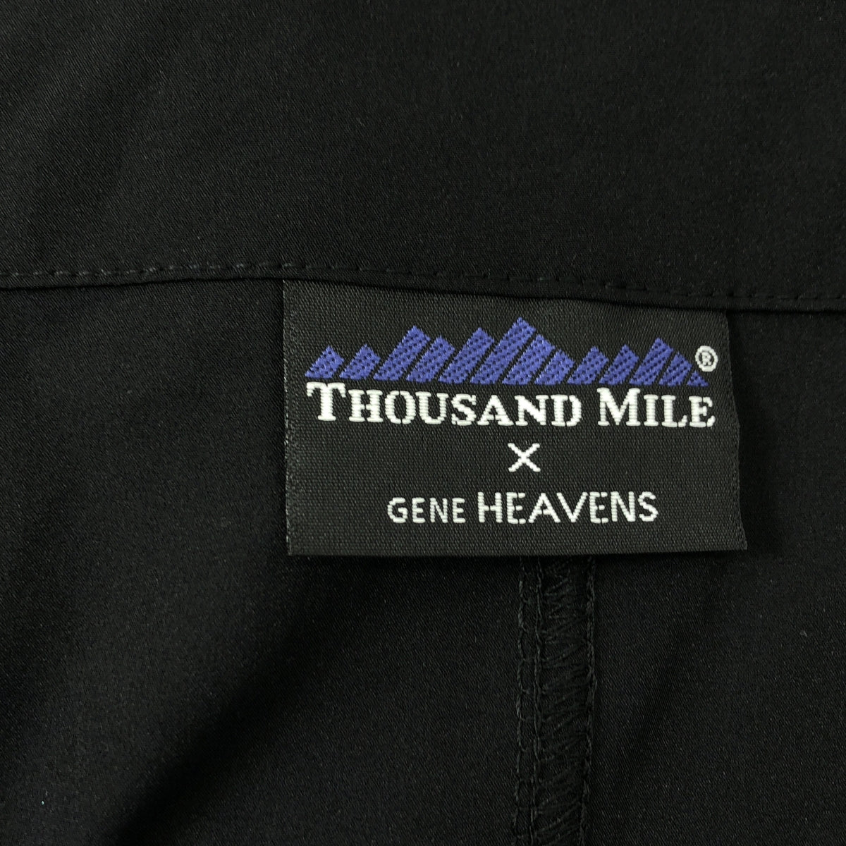 THOUSAND MILE | 2024 春夏系列 | x GENE HEAVENS / 彈性尼龍吊帶洋裝 | F 碼 | 黑色 | 女款