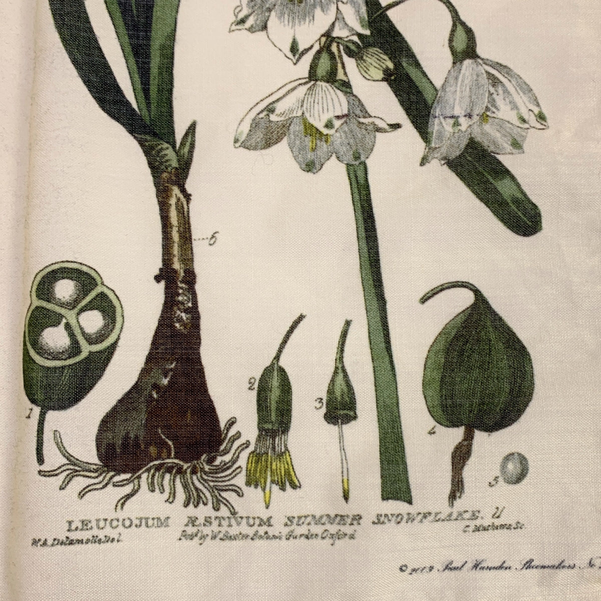 Paul Harnden / 폴하덴 | ​​flower Scarf / 총 무늬 꽃 스카프 스톨 / 유니섹스 |