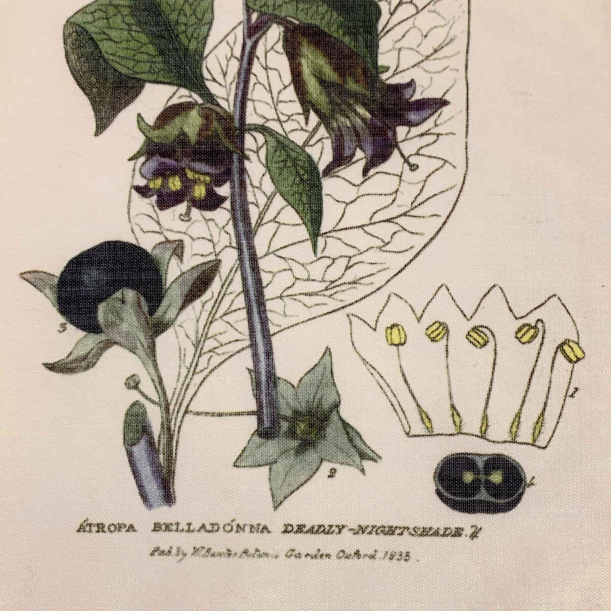 Paul Harnden / 폴하덴 | ​​flower Scarf / 총 무늬 꽃 스카프 스톨 / 유니섹스 |