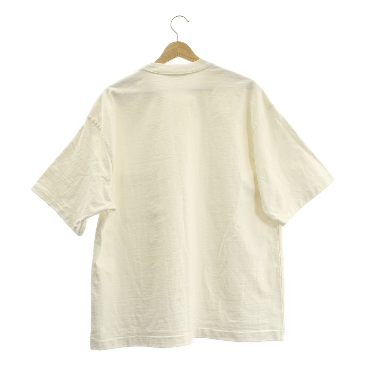 AURALEE / オーラリー | 2021SS | STAND-UP TEE オーバーサイズ スタンドアップTシャツ | 4 |