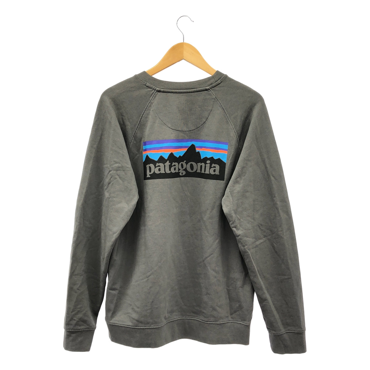 Patagonia / パタゴニア | コットン ロゴプリント スウェット | M | メンズ