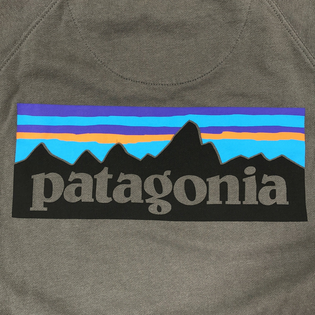 Patagonia / 파타고니아 | 코튼 로고 프린트 스웨트 | M | 회색 | 남성