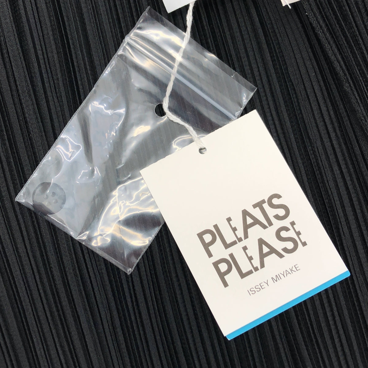 PLEATS PLEASE ISSEY MIYAKE / 주름 뿌리즈 이세이 미야케 | 2025AW | MONTHLY COLORS AUGUST 주름 사이드 슬릿 반소매 탑스 | 3 |