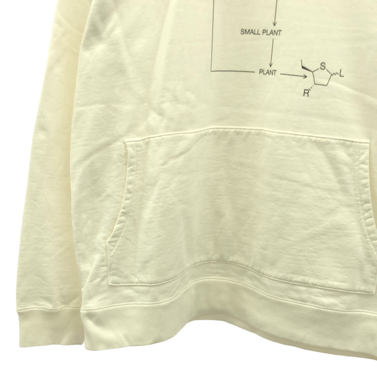 NEIGHBORHOOD / ネイバーフッド | 2019AW | SRL.BIO/ C-HOODED.LS スウェットパーカー | L | ホワイト | メンズ