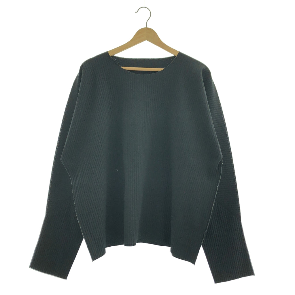 me ISSEY MIYAKE / 미이세이미야케 | 레이어드 플리츠 오버 실루엣 컷소우 | 블랙 |