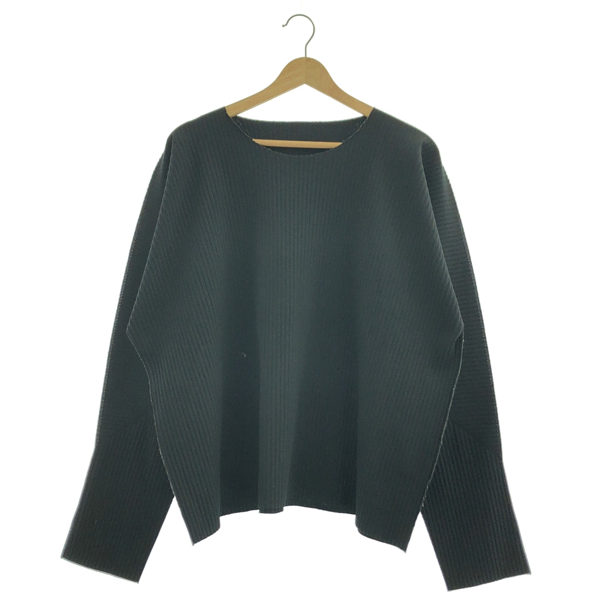 me ISSEY MIYAKE / 미이세이미야케 | 레이어드 플리츠 오버 실루엣 컷소우 | 블랙 |