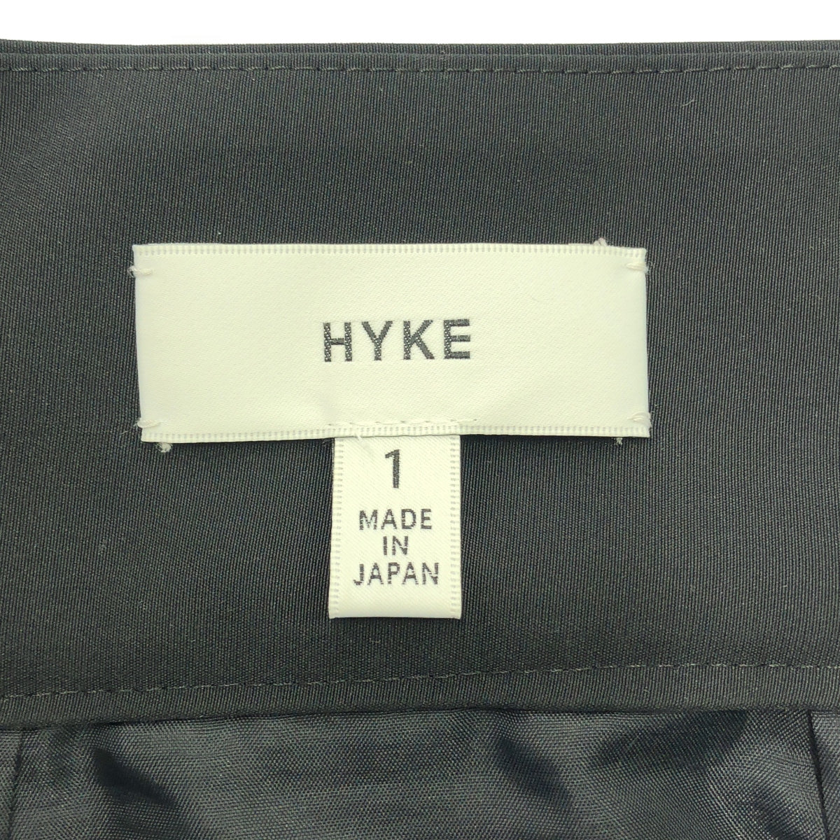 HYKE / 하이크 | PLEATED SKIRT 주름 롱 스커트 | 1 | 여성