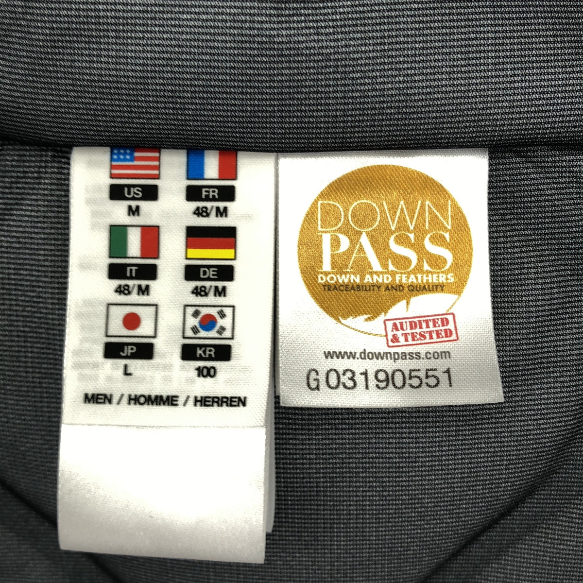 DSCENTE ALLTERRAIN | MIZUSAWA 隱形輕盈羽絨外套 INV-06 | 男款 | L 碼