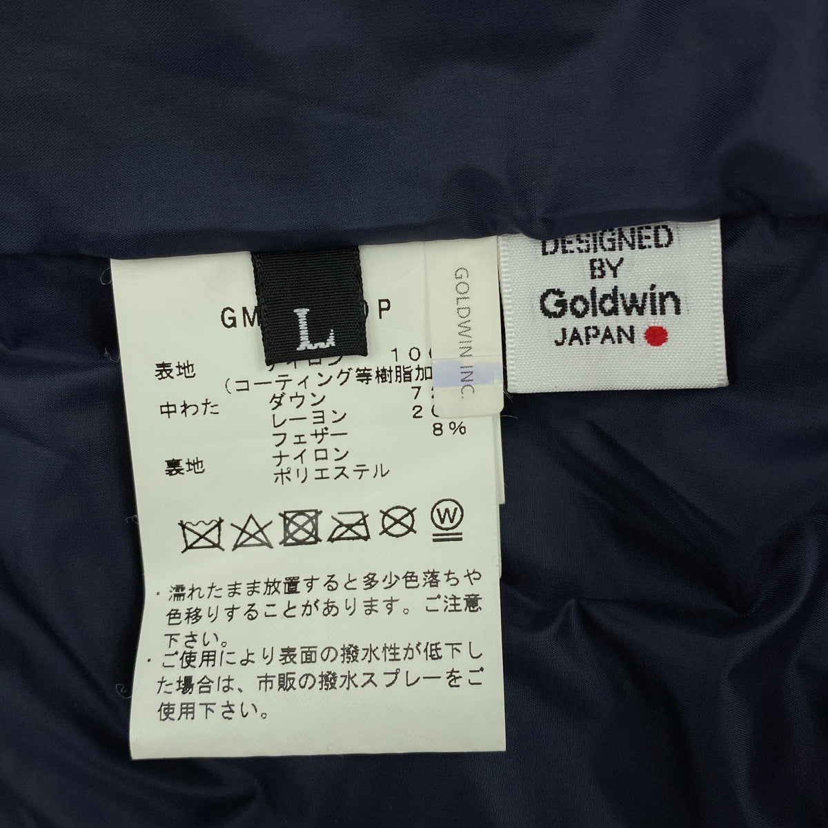 Goldwin / Goldwin | Spur 羽絨外套 Spur Gore-Tex 光電羽絨外套 | 尺寸 L | 男款
