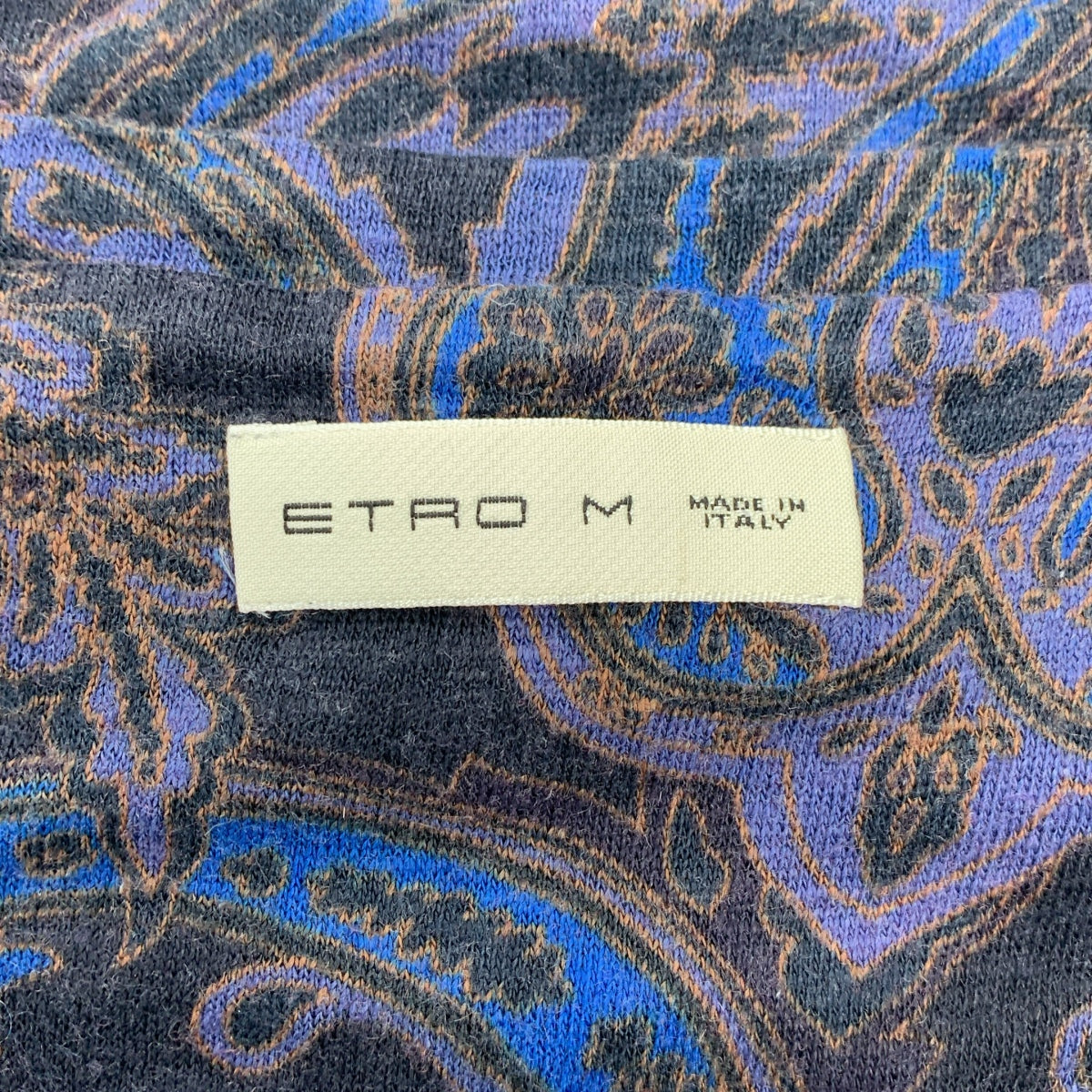 ETRO / 에트로 | 코튼 페이즐리 무늬 V 넥 컷소우 | M | 멀티 컬러 | 남성