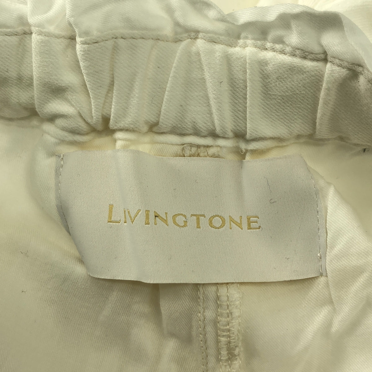 LIVINGTONE / リヴィントーン | INKEY SUPER LIGHT LAYERED PANTS レイヤード イージーパンツ | 38 | レディース