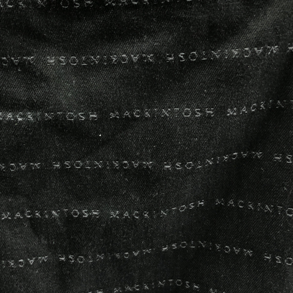 MACKINTOSH / 매킨토시 | 2022SS | × IENA / 예나 별주 / TRABBOCH / 로고 버튼 데님 재킷 | 6 | 여성