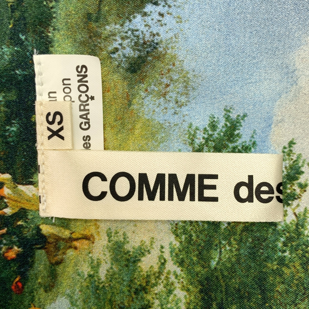 COMME des GARCONS / コムデギャルソン | 2020SS | プリント加工 風景 Vネック ワンピース | XS | レディース