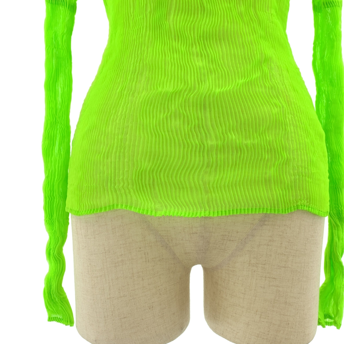 ISSEY MIYAKE FETE / イッセイミヤケフェット | プリーツ ハイネック カットソー | 2 | レディース