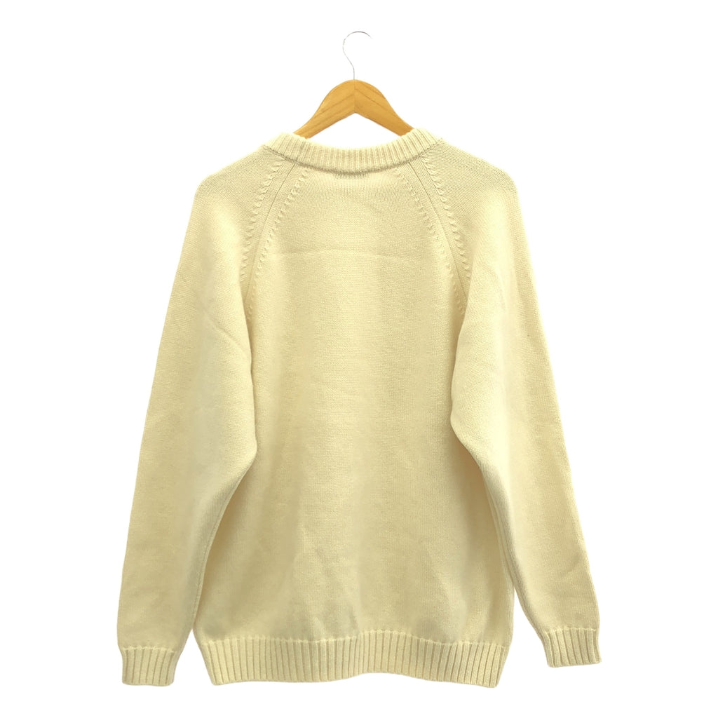 ATON / エイトン | CASHMERE WASHI カシミヤ 和紙 ニット クルーネック セーター | 4 | アイボリー | メンズ
