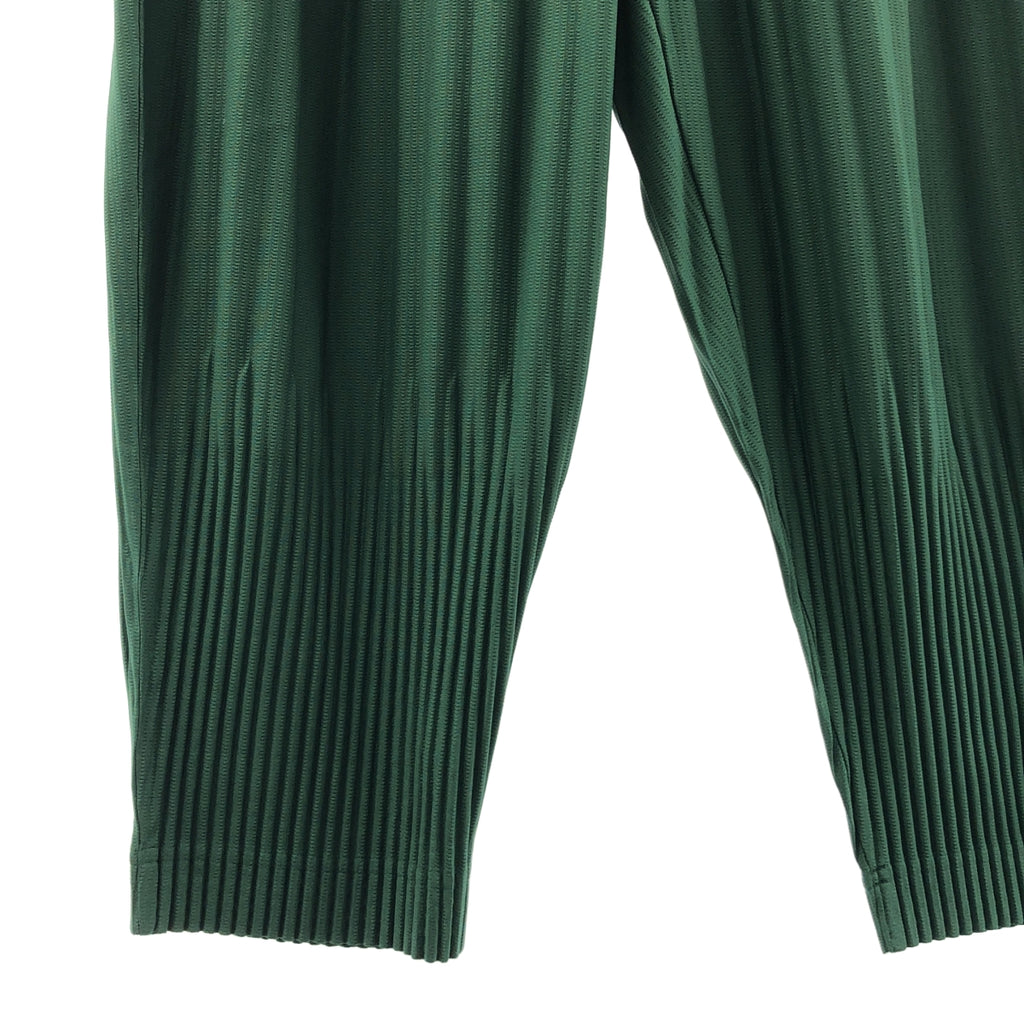 三宅一生 (ISSEY MIYAKE) 褶襉休閒褲 | 月度色彩褶襉休閒褲 | 2 碼 | 男士