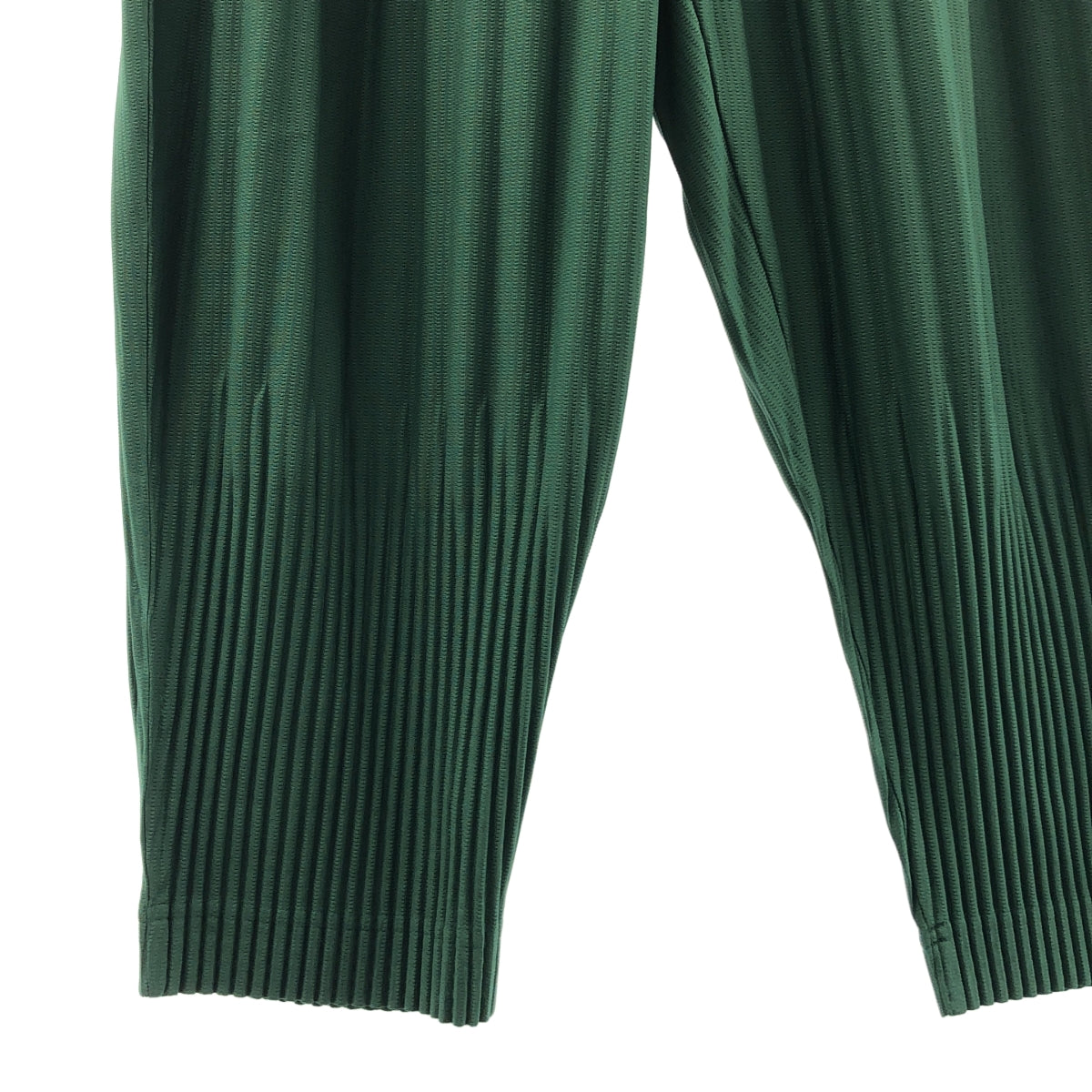 HOMME PLISSE ISSEY MIYAKE / オムプリッセイッセイミヤケ | MONTHLY COLOR プリーツ イージ パンツ | 2 | メンズ