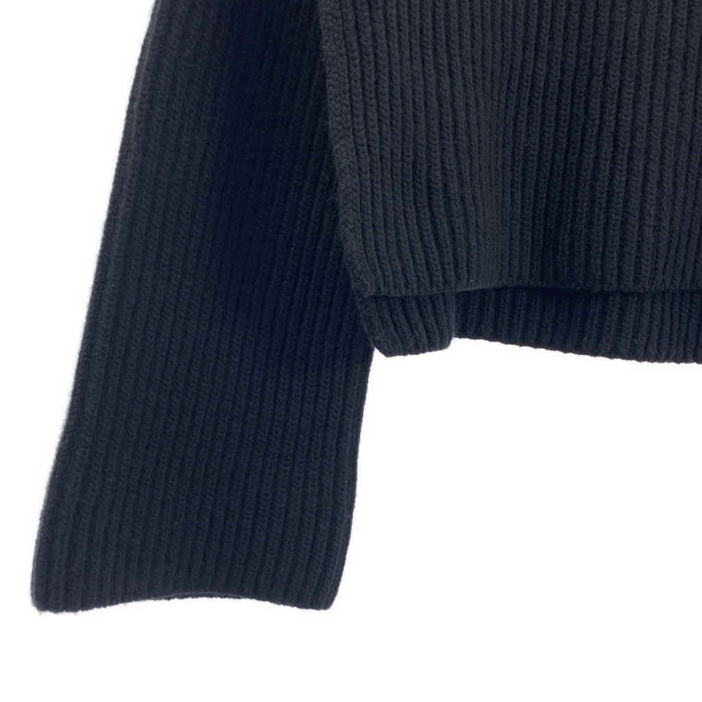THE SHISHIKUI / シシクイ | HIGH NECK KNIT / カシミヤ ウール リブ スリット タートルネック ニット | F | レディース