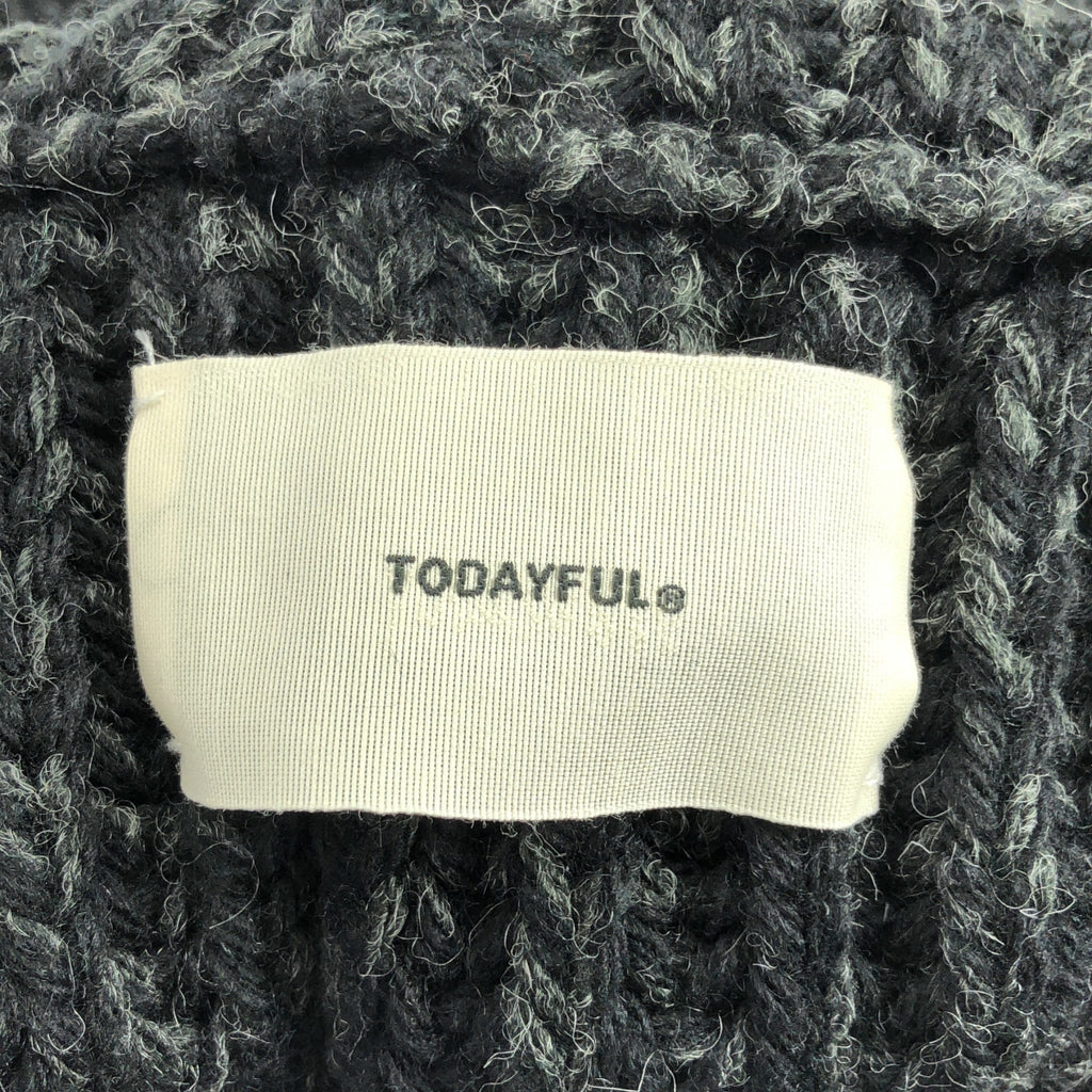 TODAYFUL / トゥデイフル | ローゲージ ボリューム タートル ニット | F | ブラック | レディース