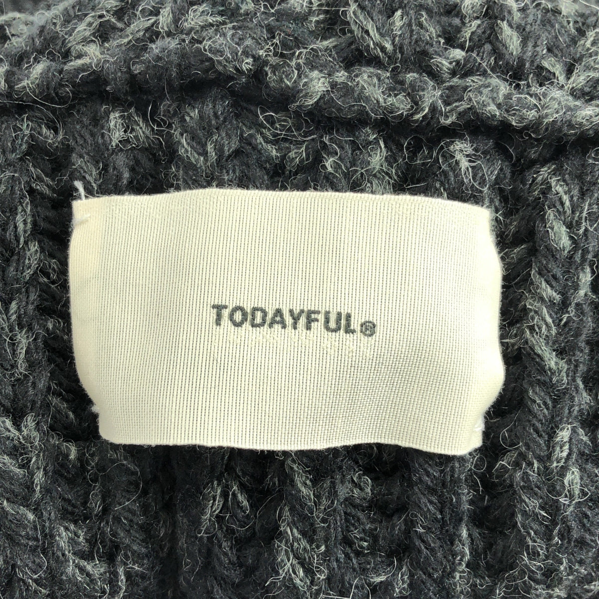 TODAYFUL / トゥデイフル | ローゲージ ボリューム タートル ニット | F | ブラック | レディース