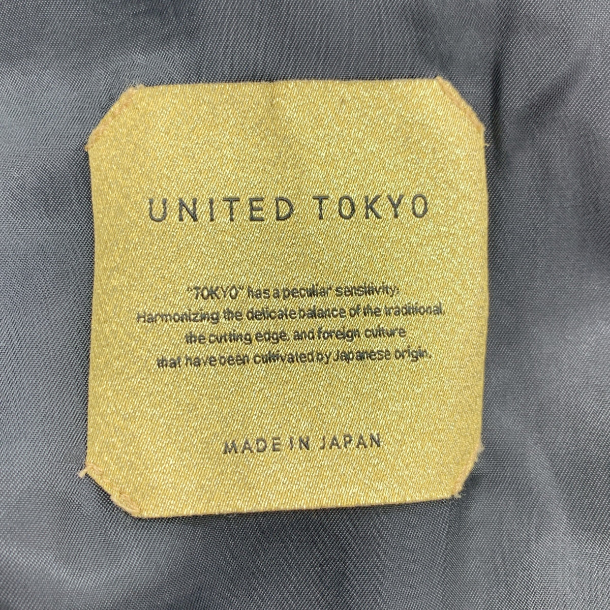 UNITED TOKYO / ユナイテッドトウキョウ | DOLPHIN / チンストラップ ステンカラーコート / 総裏地 | 1 |