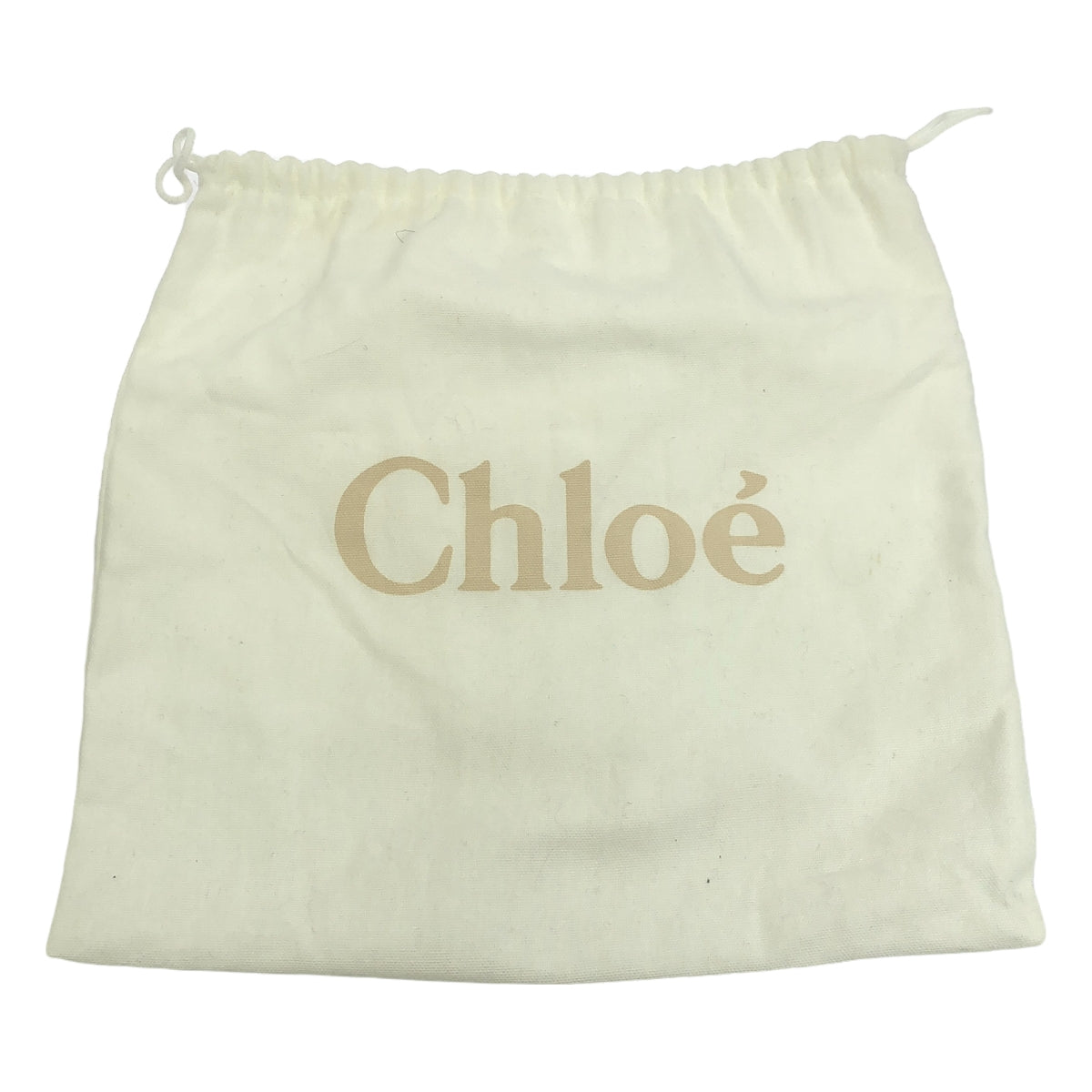 【美品】  Chloe / クロエ | テス クロコ型押し 2way ショルダーバッグ | ダークブラウン/ブラウン | レディース