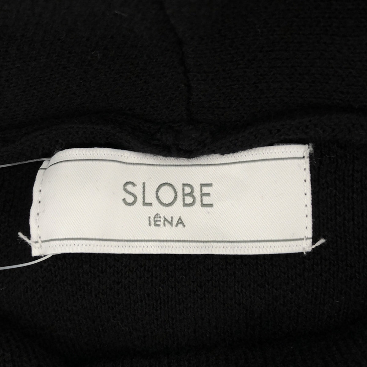 [New] SLOBE IENA | 2021AW | Double Face Hoodie | F | Black | Women's