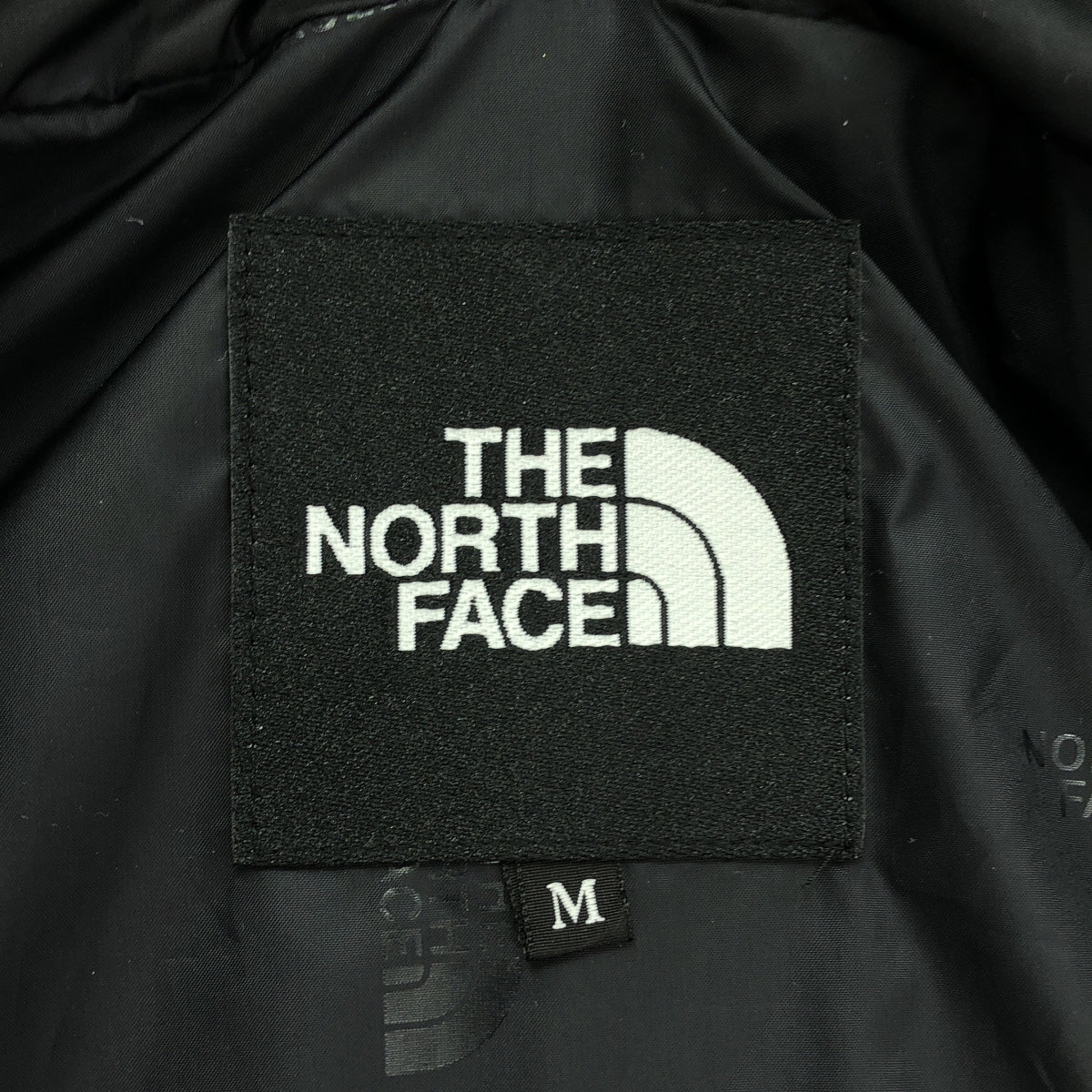 THE NORTH FACE / 자노스 페이스 | MOUNTAIN LIGHT JACKET 재킷 | M | 브라운 | 남성