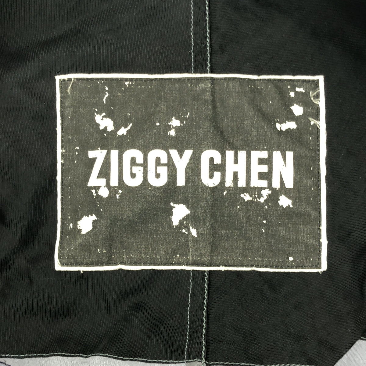 ziggy chen / 지기첸 | 2019SS | 4B Peaked Lapel Jacket 주름 가공 나일론 재킷 | 46 |