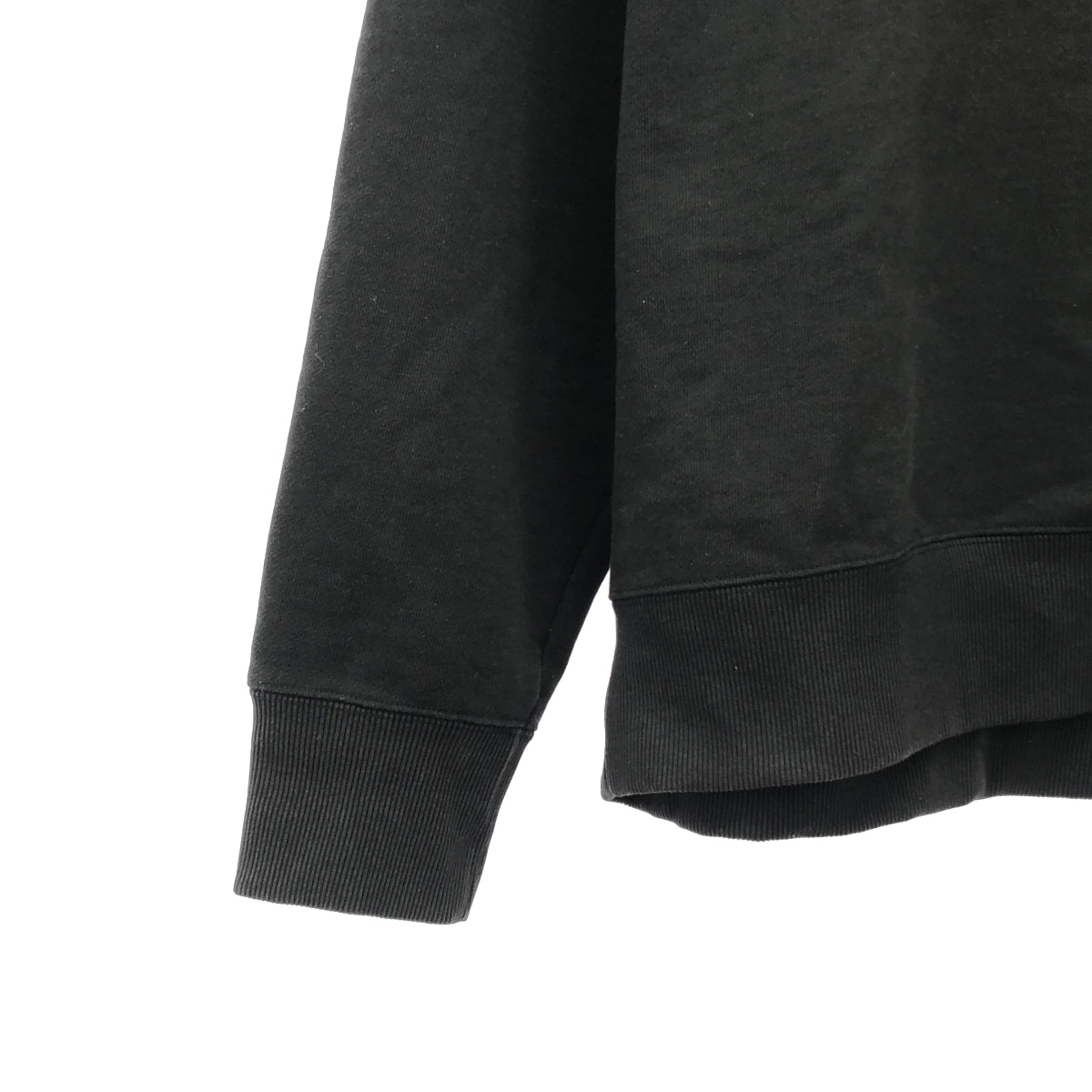 THE NORTH FACE / 자노스 페이스 | 플라워 로고 크루 스웨트 | L | 남성