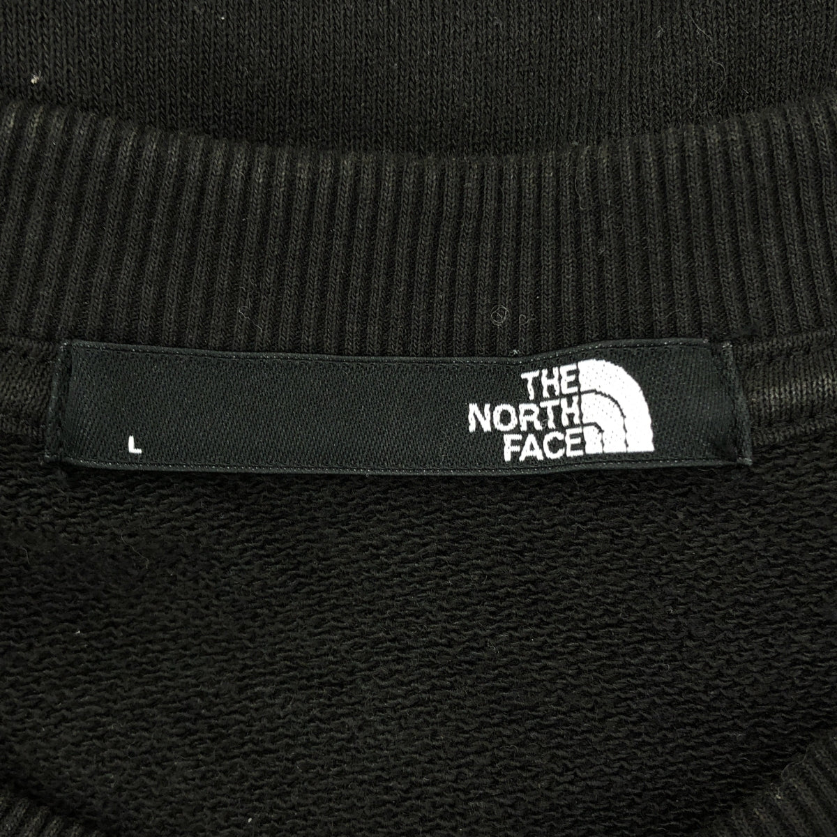 THE NORTH FACE / 자노스 페이스 | 플라워 로고 크루 스웨트 | L | 남성