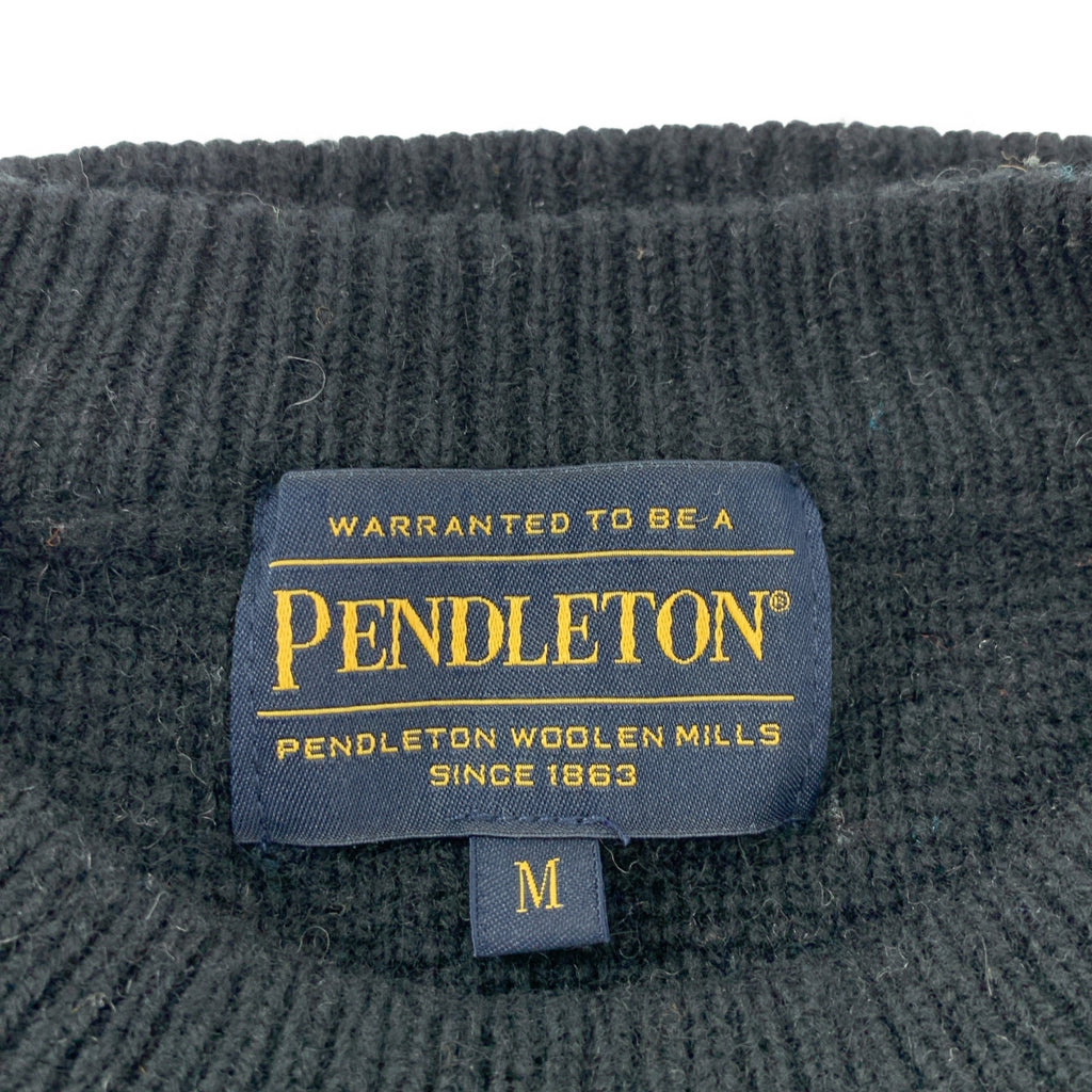 PENDLETON / 펜들턴 | SHETLAND CREW KNIT 울 크루넥 니트 | M | 남성
