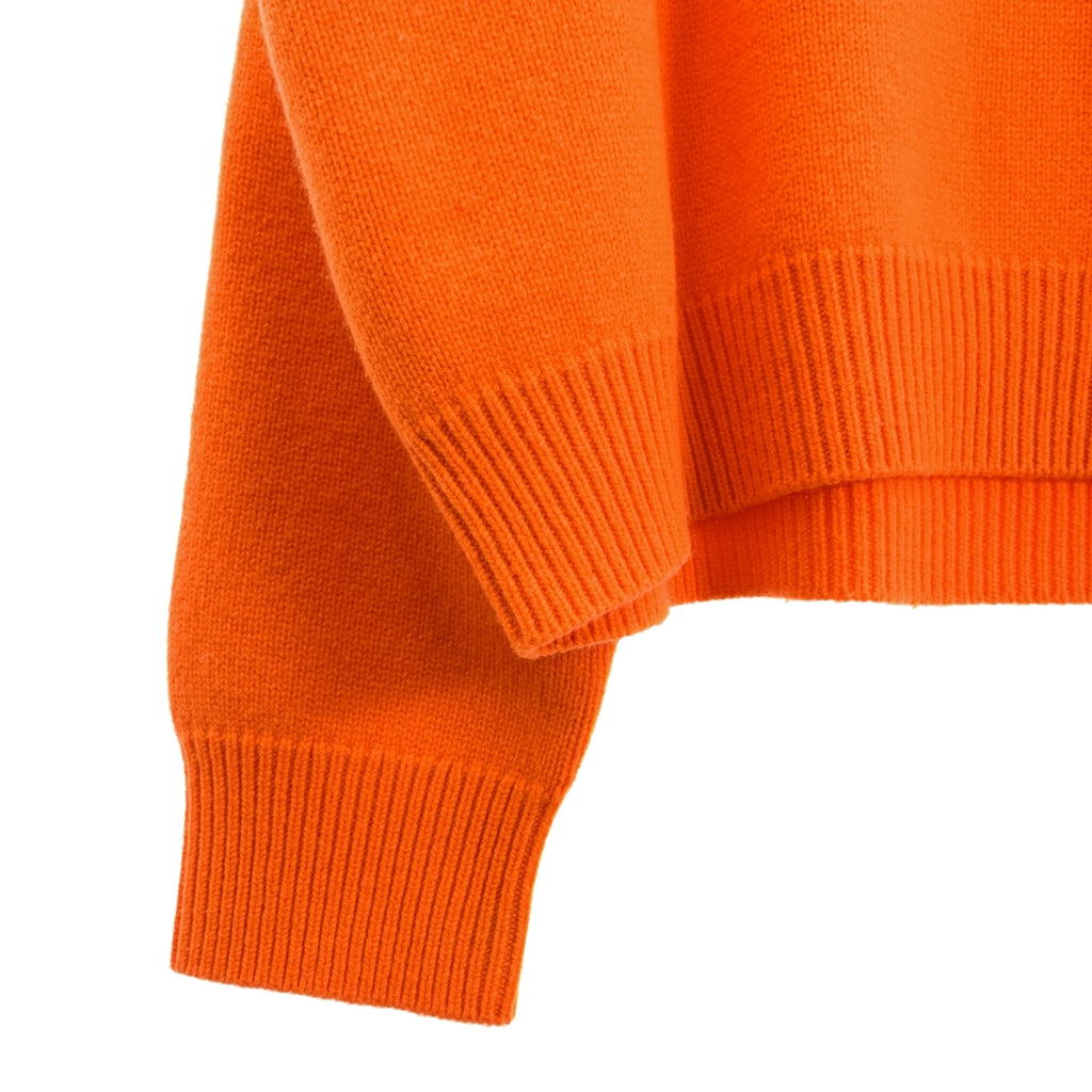 BLAMINK / ブラミンク | ウール カシミア 5G クルーネック プルオーバー ニット | 38 | レディース