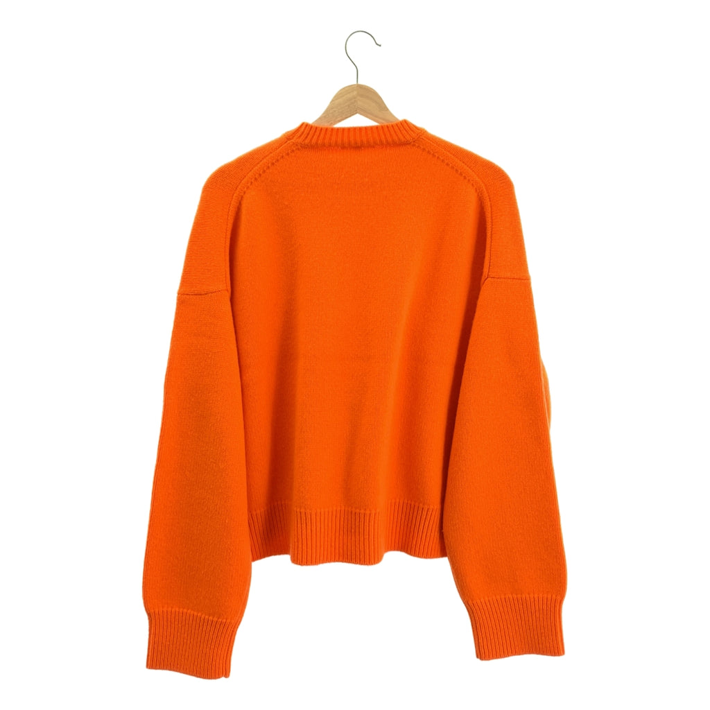 BLAMINK / ブラミンク | ウール カシミア 5G クルーネック プルオーバー ニット | 38 | レディース